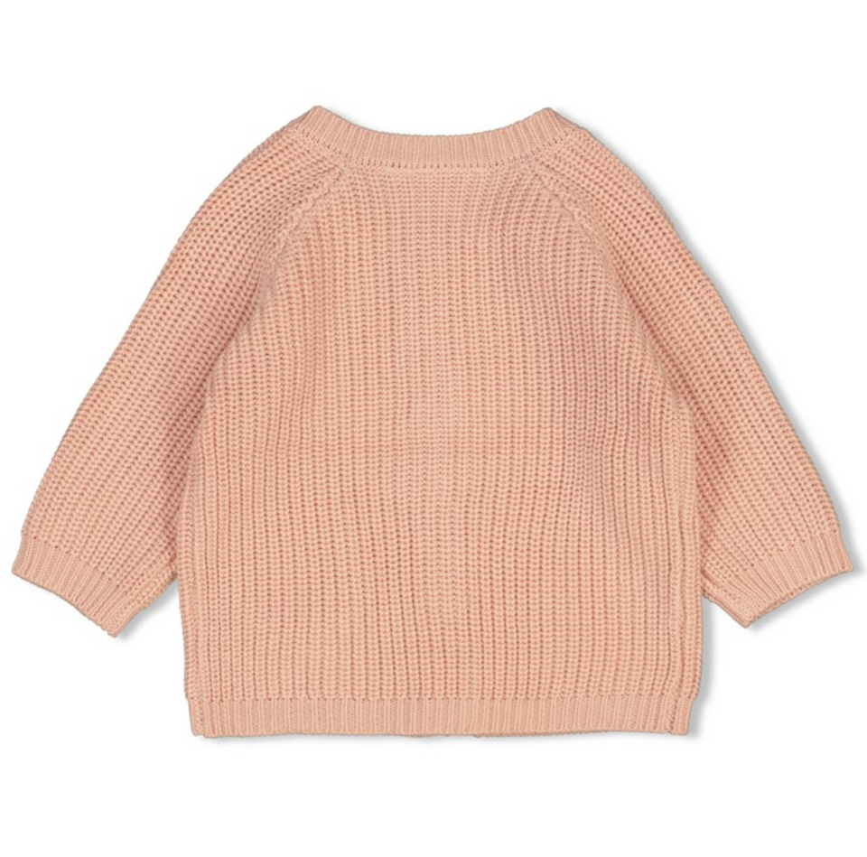 Vestje gebreid roze - Feetje