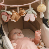 Wagenspanner Roze Little Dutch