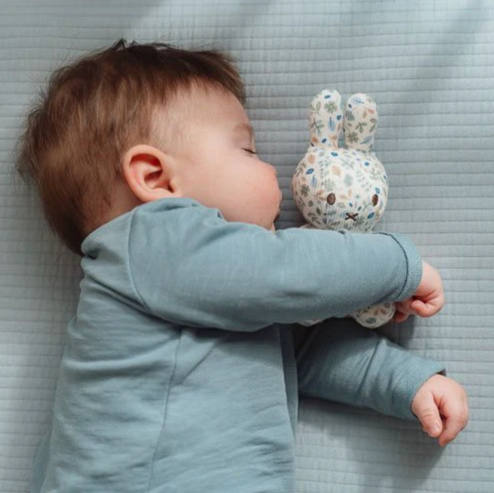 Nijntje Knuffel Blauw Little Dutch