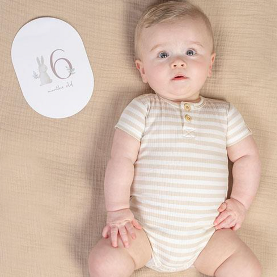 Mijlpijlkaarten Little Dutch