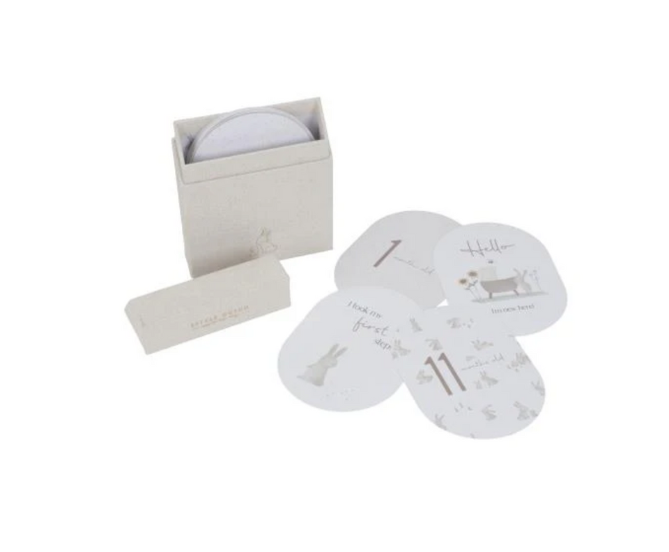 Mijlpijlkaarten Little Dutch