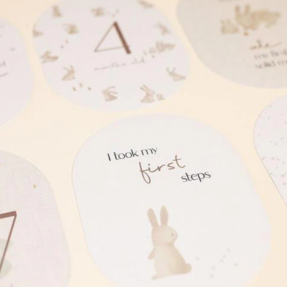 Mijlpijlkaarten Little Dutch