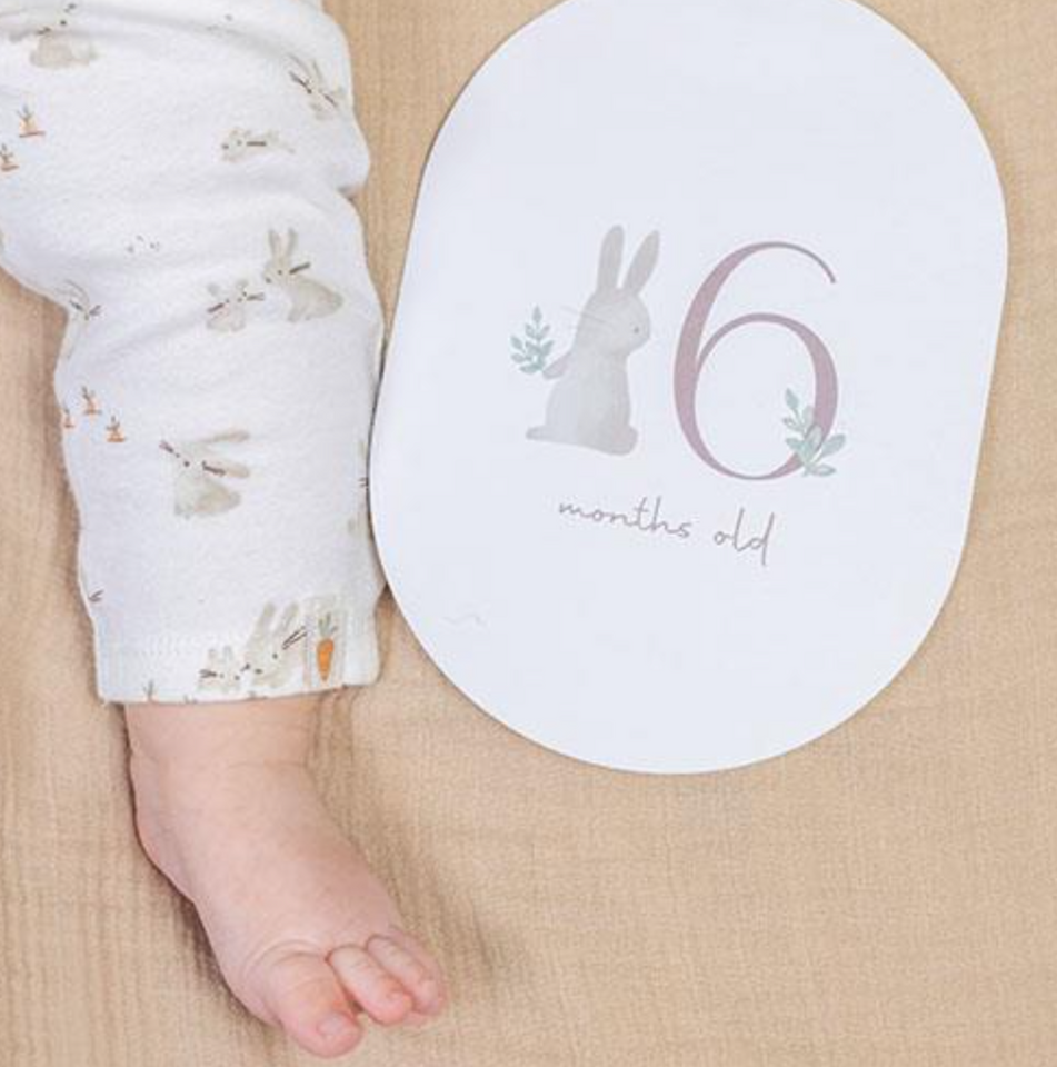 Mijlpijlkaarten Little Dutch