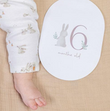 Mijlpijlkaarten Little Dutch