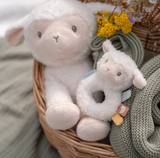 Zachte ringrammelaar schaap Little Dutch