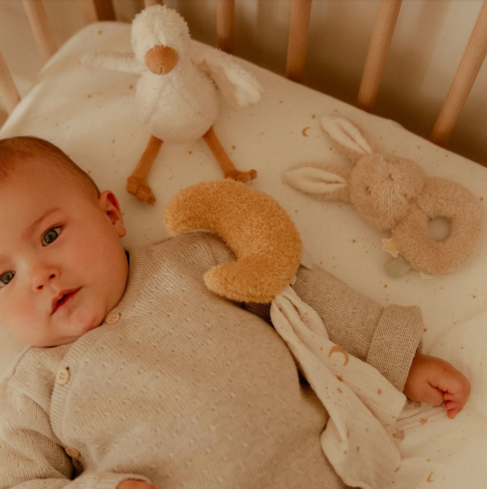 Giftset Newborn Naturals Little Dutch