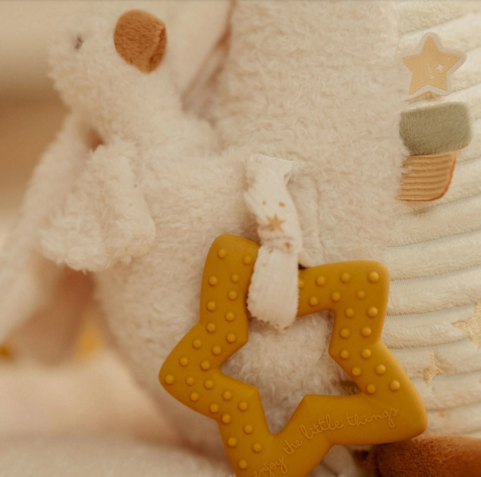 Activiteitenknuffel Gans Little Dutch