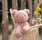 Varken Knuffel 17 cm Little Dutch